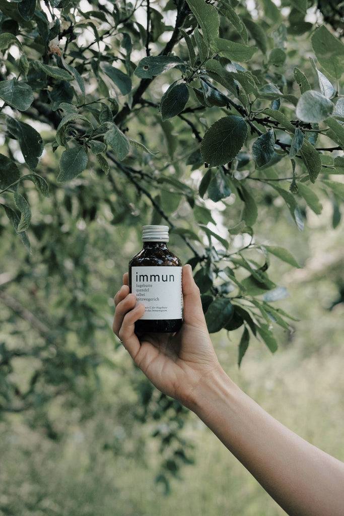 JUKSEREI KRUUT · IMMUNE OXYMEL 150ML Sonderangebote