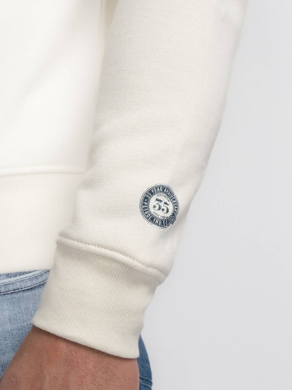 Petrol M-3040-SWR364 Men Sweater Round Neck Print (0007 Antique White) Top Angebot