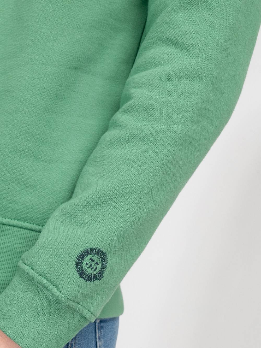 Petrol M-3040-SWR363 Men Sweater Round Neck Print (6167 Wasabi) Neueste Mode