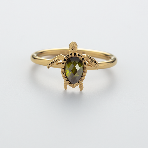 ﻿Paul Hewitt Turtle Ring Gold Begrenzte Freigabe