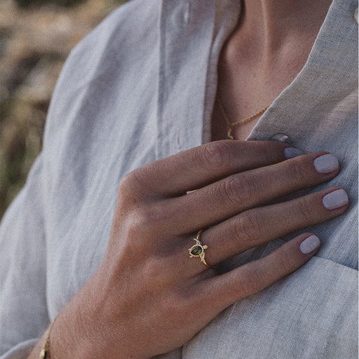 ﻿Paul Hewitt Turtle Ring Gold Begrenzte Freigabe