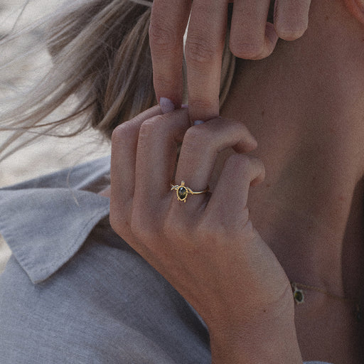 ﻿Paul Hewitt Turtle Ring Gold Begrenzte Freigabe