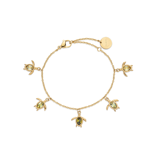 Paul Hewitt Turtle World Turtle Day Armkette Gold Vierteljährliche Förderung