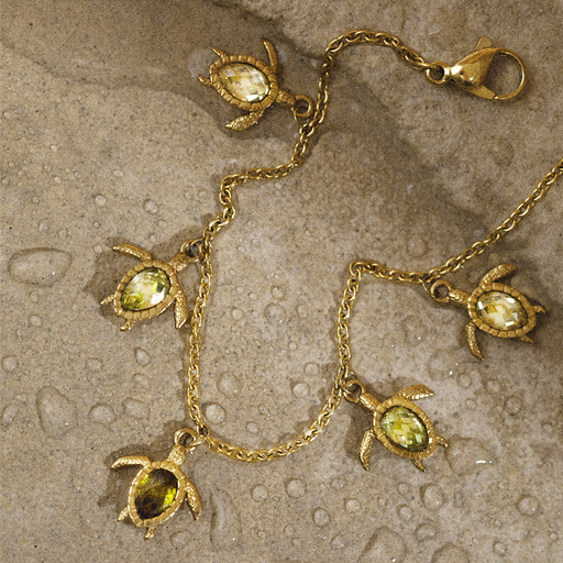 Paul Hewitt Turtle World Turtle Day Armkette Gold Vierteljährliche Förderung