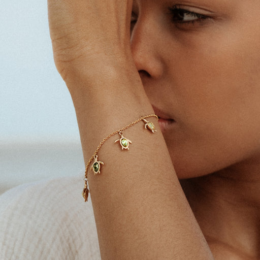 Paul Hewitt Turtle World Turtle Day Armkette Gold Vierteljährliche Förderung