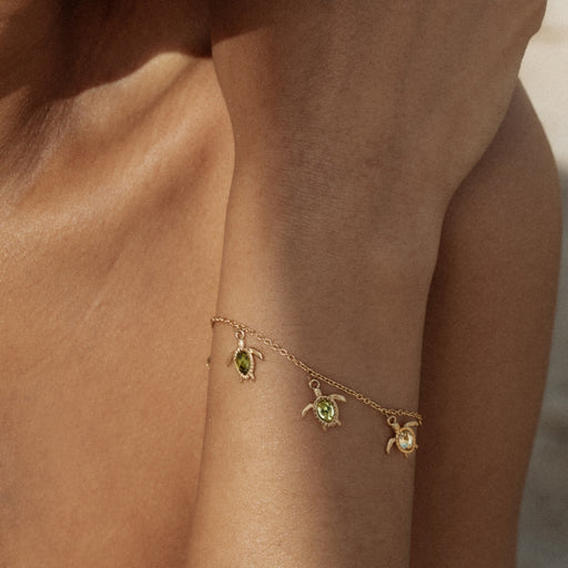 Paul Hewitt Turtle World Turtle Day Armkette Gold Vierteljährliche Förderung