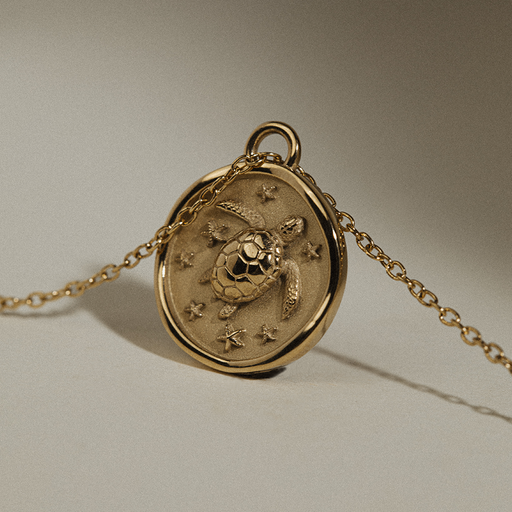 Paul Hewitt Turtle Coin Halskette Gold Speichern exportieren