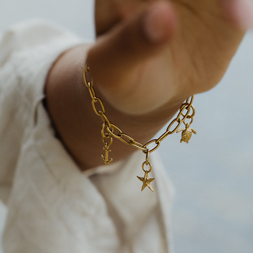 Paul Hewitt Turtle Charm Gold Rabatt