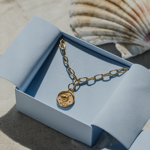 Paul Hewitt Aquarius Charm Gold Verkauf