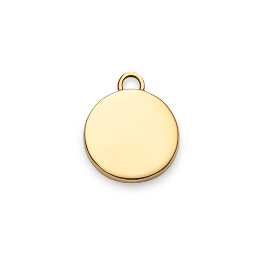 Paul Hewitt Aquarius Charm Gold Verkauf