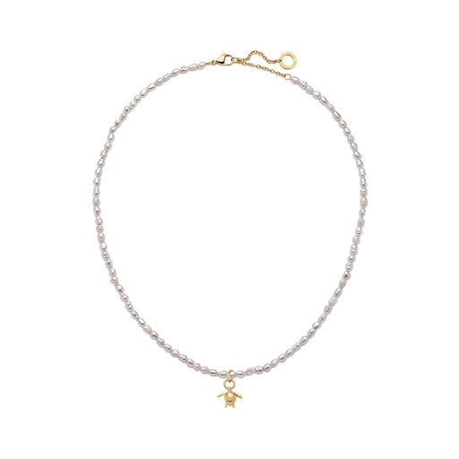 Paul Hewitt Set Turtle Charm und Halskette Gold Riesige Ersparnisse