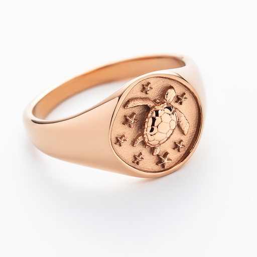 Paul Hewitt Turtle Signet Ring Roségold Vatertagsangebot