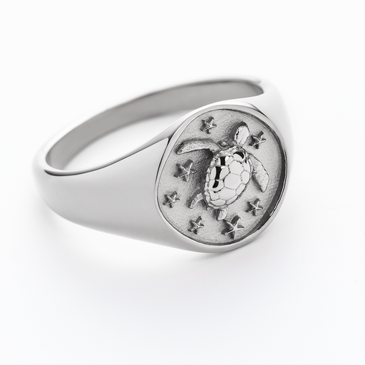 Paul Hewitt Turtle Signet Ring Silber Valentinstagsangebot