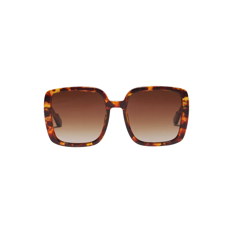 Pilgrim ALIET Sonnenbrille Schildpatt-Braun/Gold Neueste Stile