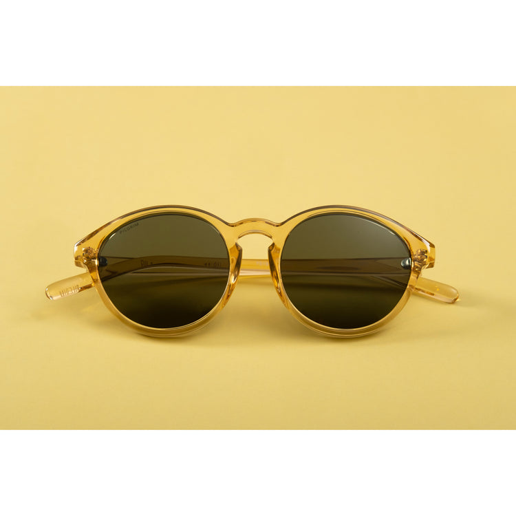 Pilgrim VASILIA Sonnenbrille transparent braun Lagerräumung